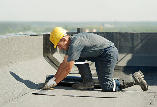Best DIY Insulation Kits and Guidance in Rossville, TN