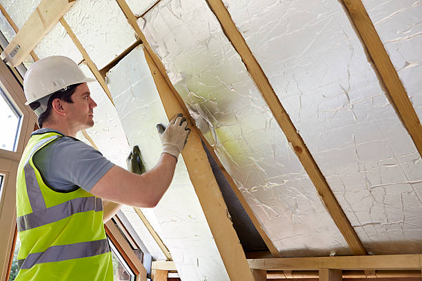 Best Specialized Insulation Services in Rossville, TN