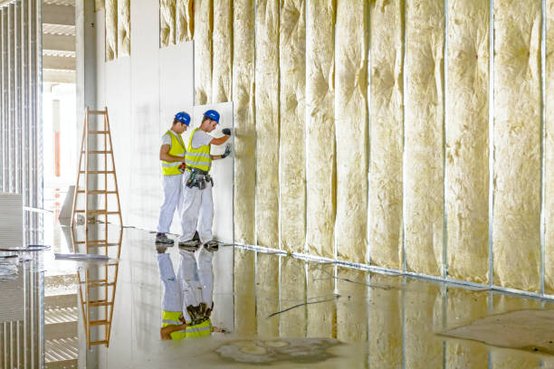 Best Geographic-Specific Insulation Services in Rossville, TN